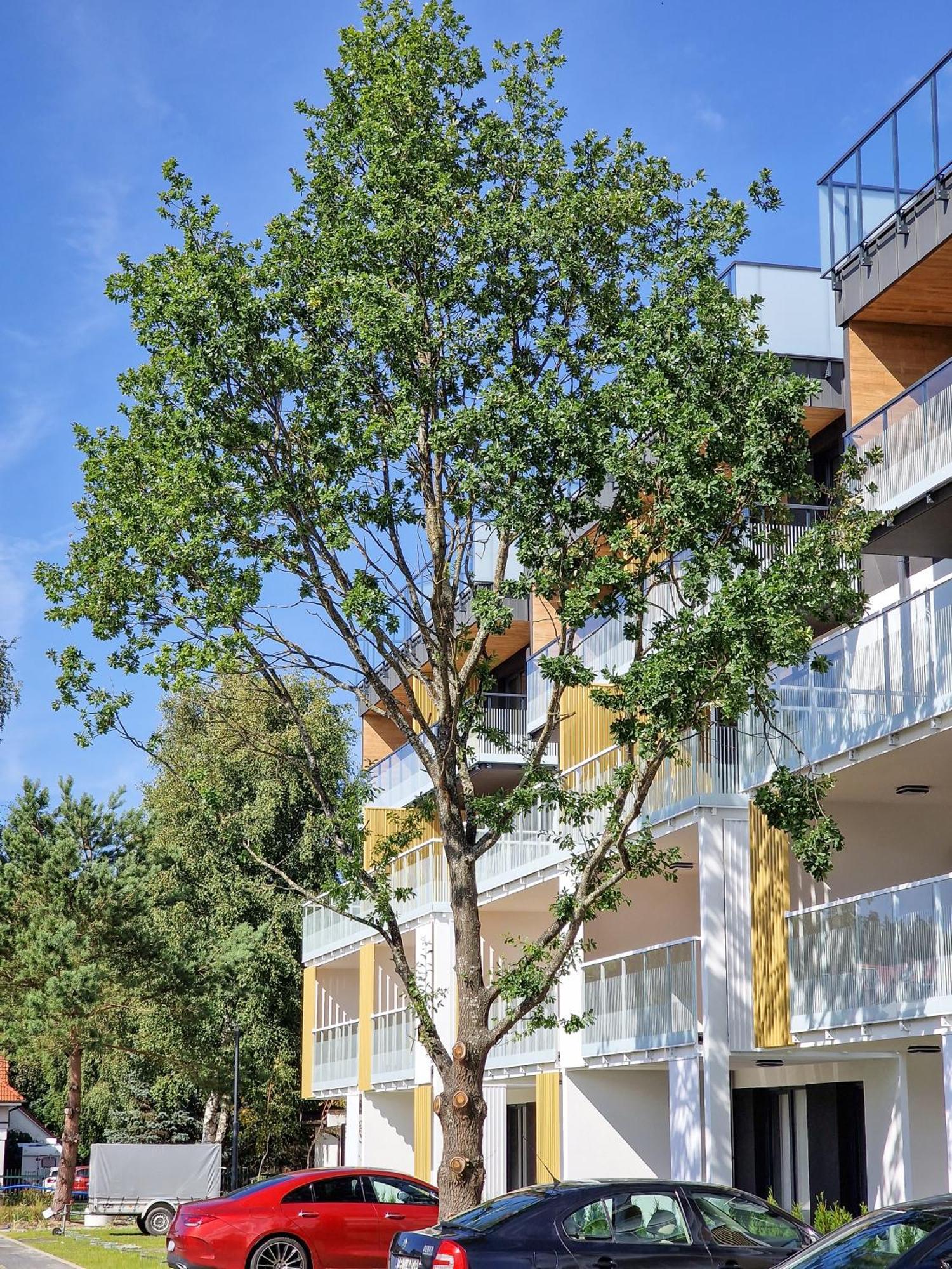 Posesja Plazowa Penthouse & Spa By Posesja Apartamenty Grzybowo Kültér fotó